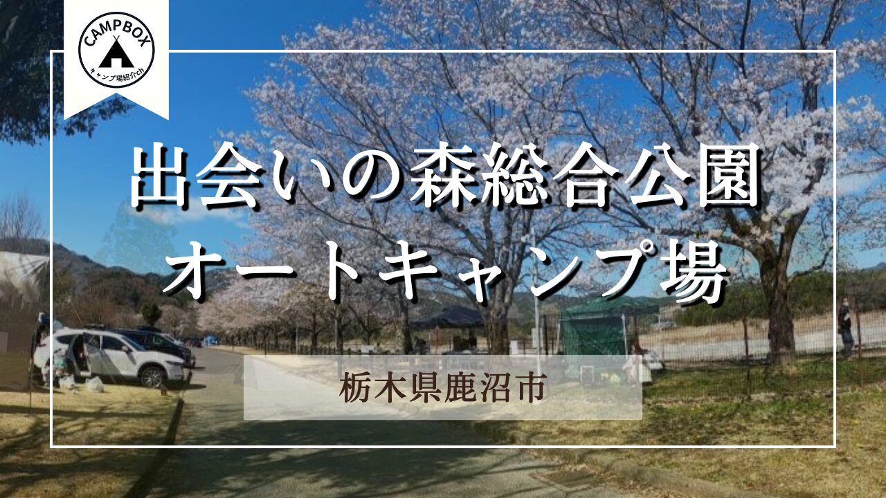 出会いの森